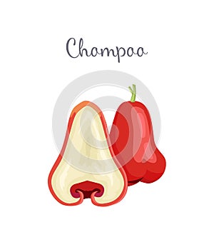 Champoo Exotic Juicy Fruit Vector Isolated. Java apple