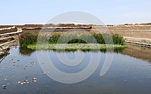 Chan Chan Ruins - King's Water Hole