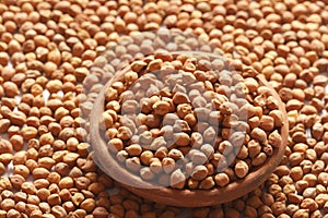 Chana Dal- Chick peas