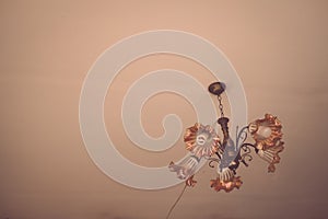 Chandelier lamp beautiful luxury