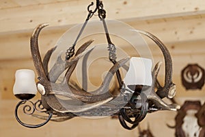 Chandelier made of horns