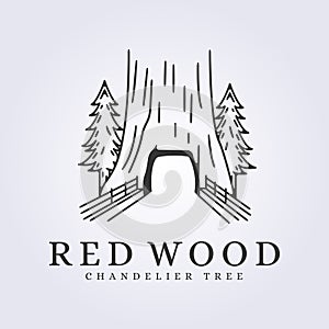 chandelier tree redwood line art logo vector illustration design