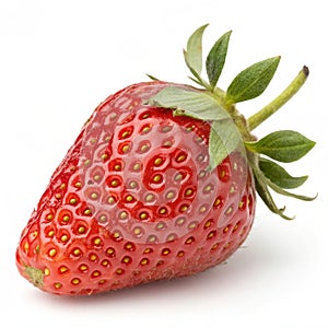 Chandra isolated on white background