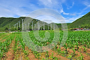 Chang hua mun project