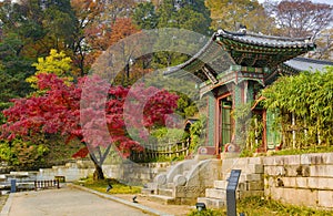 Changdeokgung Palace in autumn Seoul South Korea