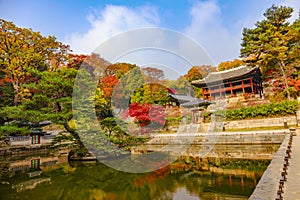 Changdeokgung Palace in autumn in Seoul South Korea