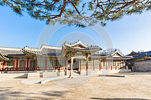 Changdeokgung Palace and Huwon landmark of Seoul, South Korea