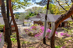 Changdeokgung, royal palace in Seoul, Secret garden