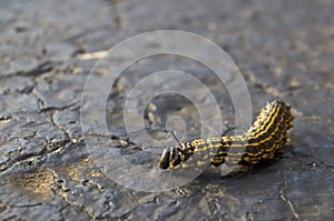 Change Is On The Way...