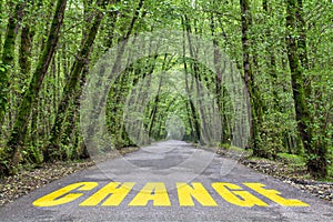 Jungle road to change