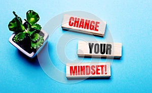 CHANGE YOUR MINDSET is written on wooden blocks on a light blue background near a flower in a pot