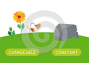 Changeable and constant antonyms word card vector template.