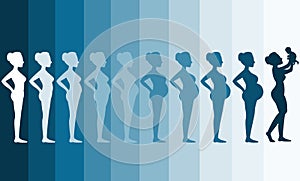 Changes in a woman's body in pregnancy,Silhouette pregnancy stages, Vector illustrations