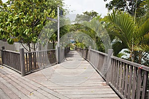 Changi Point Boardwalk photo
