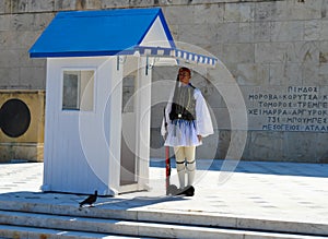 Changing of Ceremonial Elite infantry Evzones near parliament in Athens, Greece on June 23, 2017.