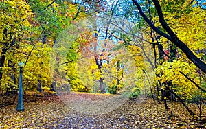 Changing colors in Canada in Autumn.