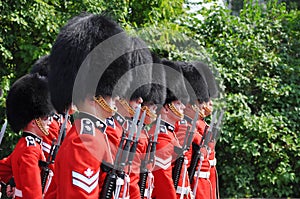 Changing of Guard in Ottawa, Canada