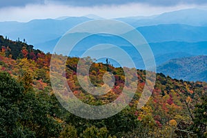 Changing Leaves With Layers of Appalachian Mountains