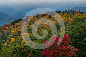 Changing Leaves on Rounded Mountain