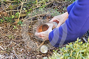 Changing a lightbulb in outdoor lighting