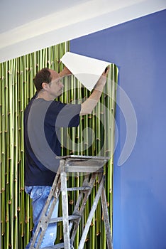 Changing of scenery with a Bamboo background