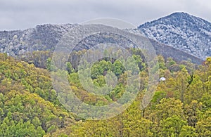 Changing seasons in the Great Smoky Mountains.