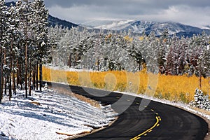 Changing seasons road