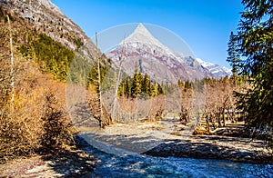 Changping valley scene of the Siguniang Mountain