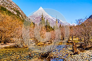 Changping valley scene of the Siguniang Mountain