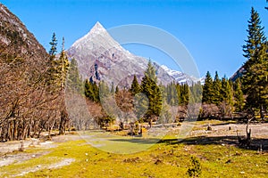 Changping valley scene of the Siguniang Mountain