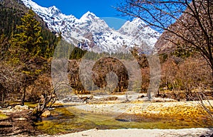 Changping valley scene of the Siguniang Mountain