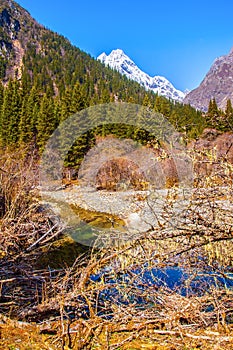 Changping valley scene of the Siguniang Mountain