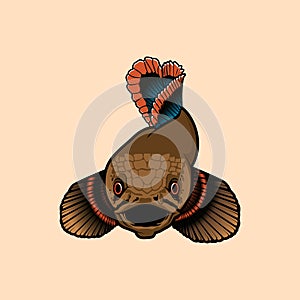 channa limbata  fish illustration icon