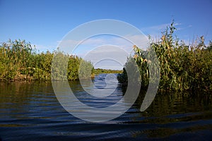 Channel in the Danube Delta, Romania