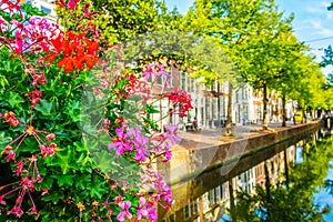 Channel in Delft viewed during day, Netherlands