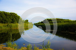 Channel from fairytale with reflection of forest in it