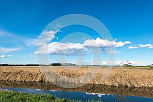 Channel with fields and poplars, Lomellina (Italy) photo