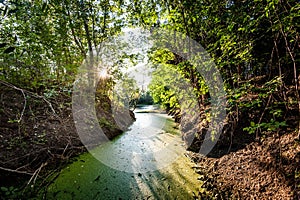 Channel full of duckweed