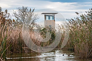 Channel inside the Albufera in Valencia