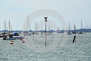 Channel marker beacon and sailing boats