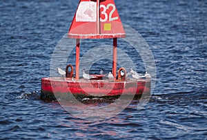 A channel marker buoy with seagulls.