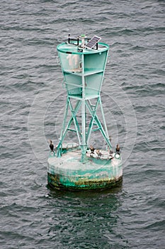 Channel marker and sea birds