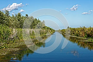 Channel near Trei Bibani in Danube delta