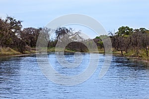 Channel in Okavango Delta