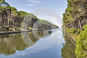 Channel of San Rossore Regional Park, Italy