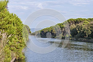 Channel of San Rossore Regional Park, Italy