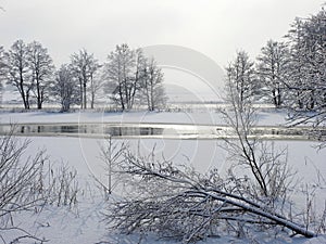 Channel and snowy trees in winter, Lithuania