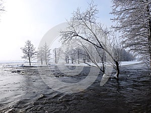 Channel and snowy trees in winter, Lithuania