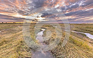 Channel in Tidal Marshland nature reserve Saeftinghe