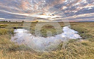 Channel in Tidal Marshland nature reserve Saeftinghe